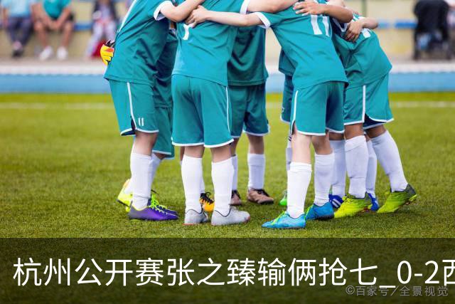 杭州公开赛张之臻输俩抢七 0-2西里奇收获亚军